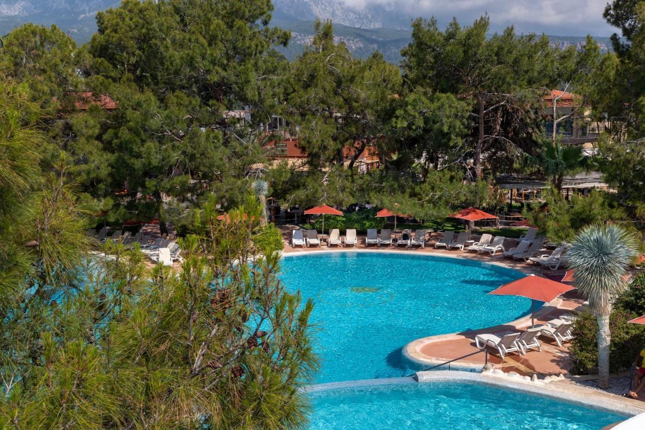 فندق مارتي ميرا تيكيروفا المظهر الخارجي الصورة A swimming pool